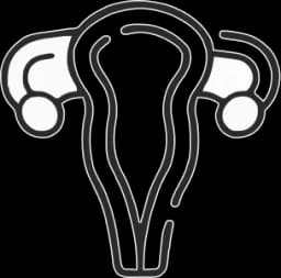 Female Reproductive System