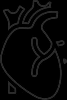 Heart