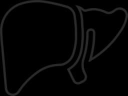 Liver