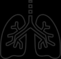 Lungs