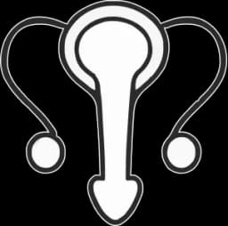 Male Reproductive System